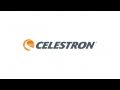 Celestron FlipView Handheld LCD Microscope 44314