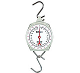 Image of Allen Balances And Scales 4400