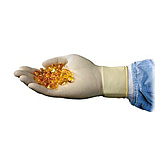 Image of Ansell Healthcare Glove Accutech Sz Xl PK100 574090, Case of 10 / Pack of 100