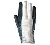 Image of Ansell Healthcare Glove NITRILE(32-135)PR10PK12 208405, Case of 12 / Pack of 12