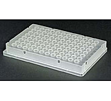 Image of Axygen Plate 96 Polycarb CS25 PCR-96-FS-PC