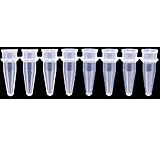 Image of Axygen Tube Cap 8STRIP Orang PK125 PCR-02CP-O