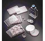 Image of Corning BioCoat Cellware, Collagen Type IV, 354528 Culture Flasks T-175 (175 cm2)