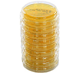 Image of BD D/E Neut Agar 100MM PK10 292647