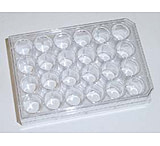 Image of Corning Falcon 24-Well Multiwell Plates with Lids, Sterile, 351147