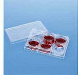 Image of Corning Falcon Cell Culture Companion Plates for Inserts, Sterile, 353502