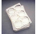 Image of Corning Falcon Multiwell Flat-Bottom Plates with Lids, Sterile, 353043