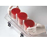 Image of BD GasPak EZ Container Systems, BD Diagnostics 260674 Incubation Rack Only, Large