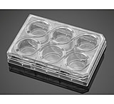 Image of BD Plate Carboxyl 6-well 356773