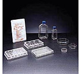 Image of BD Primaria Treated Labware, Sterile, BD Biosciences 353824 Culture Flasks With Plug-Seal Caps 75 cm2, Straight Neck
