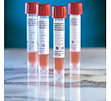 Image of BD Swab Uvt Poly Combo St CS100 220240