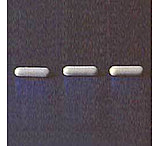 Image of Bel-Art Spinbar Micro Stir Bars 371195005