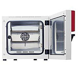 Image of Binder Microbiology Incubators, BF Series, BINDER 9010-0236 Bf 53 Models