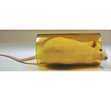 Image of Bio-Serv Rat Tunnel Red 3IN Id X 6INL K3325