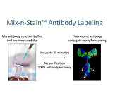 Image of Biotium Cf660c Mix-n-stain (5-20 Ug) 92280