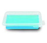 Image of Biotix Staining Tray W/LID Pp CS20 731-103