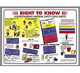 Image of Brady Prinzing Training Posters, Brady PS139E Right To Know