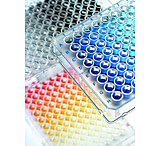 Image of BrandTech Plate 384 Well WHT/CLR S PK50 781686