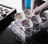 Image of Corning Insert Netwell 74UM 24MM CS48 3479