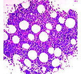 Image of Diagnostic Biosystems Giemsa Kit 100RXN KT 016