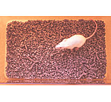 Image of Fangman Specialties CELL-SORB Pl Gr 2-1.1 Bag 2CS 1.1LB-G-200S