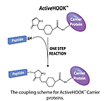 Image of G-Biosciences Bsa 10mg 786-086