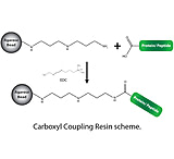 Image of G-Biosciences Peptide Coupl Crbxyl 25ml 786-797
