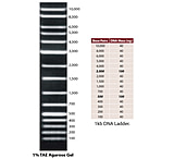 Image of G-Biosciences Marker Dna 500bp 100 Loads 786-462