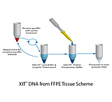 Image of G-Biosciences Dna From Buccal Cells 50 Preps 786-344