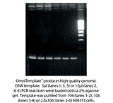 Image of G-Biosciences Omnitemplate 100/KIT 786-013