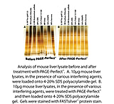 Image of G-Biosciences Page Clean Up Kit 5 Preps 786-123T