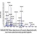 Image of G-Biosciences Trypsin Ms Grade 100ug 786-687