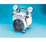 Image of Gardner Denver Welch Dry Vac Pump 12.4 2010B-01