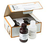 Image of GE Ecl Prime Western Blotting Det RPN2232