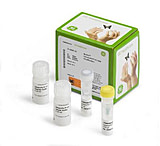 Image of Genomiphi Hy Kit 25 Rx 25-6600-22
