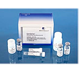 Image of Genvault Purified Dna Recovery Kit GVGR-50