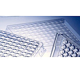 Image of Greiner Bio-One Lid Microplate Ps Stndrd Cs150 656197