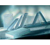 Image of Greiner Bio-One Pcr Plate Ppn 384wl Black Cs60 785209