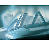 Image of Greiner Bio-One Pcr Plate Ppn 384WL CS60 785290