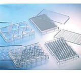 Image of Greiner Bio-One Plate 384W Pll BLK/CLR CS20 781936
