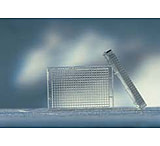 Image of Greiner Bio-One Plate 384WL F/UV CS40 781801