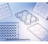 Image of Greiner Bio-One Plate 6WELL Ps CS100 657185