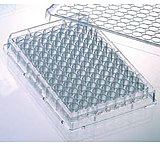 Image of Greiner Bio-One Plate Streptavidin 384WL CS40 781996