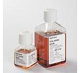 Image of Hyclone Fetal Bovine Serum Defined .5l SH30070.03IR