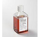 Image of Hyclone Fetal Bovine Serum Standard Hi SH30088.03HI