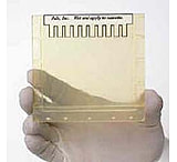 Image of Jule Gel TRIS-GLYCINE 1.5MM 4-20% 420W15M10