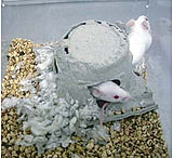 Image of Ketchum Manufacturing Refuge Enrichment 1000/BOX XKA 2450 087