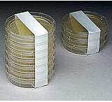 Image of Micronova Tape Whte Sleevsl 3/4X18YD CSLB-34WH