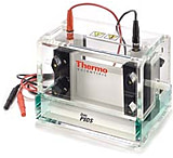 Image of Nalge Nunc Clamps Side F/P10 2/EA P10-CL