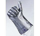 Image of North Safety Products/Haus Glove Silver SZ6 2.7MIL PK10 SSG/6